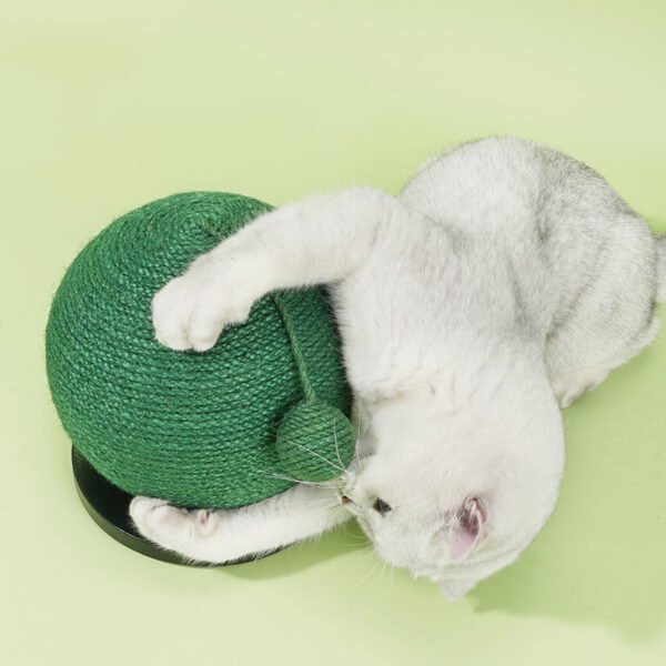 Sisal cactus cat scratching board - Image 3