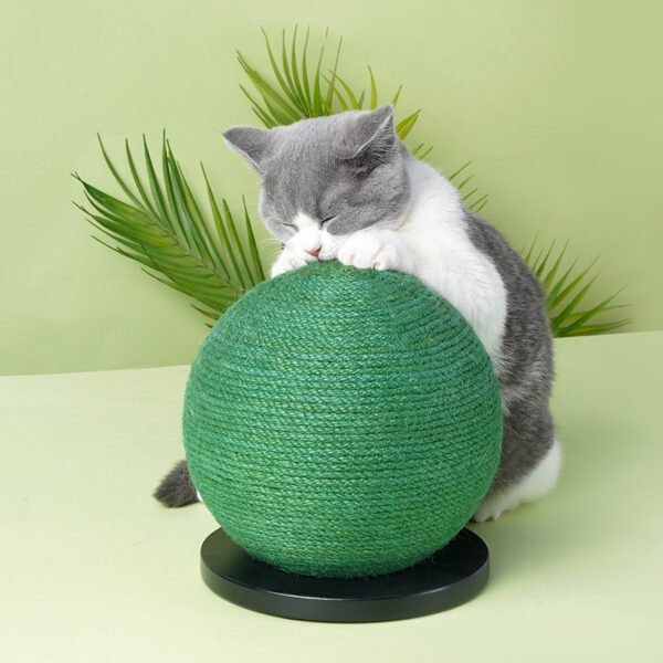 Sisal cactus cat scratching board - Image 4
