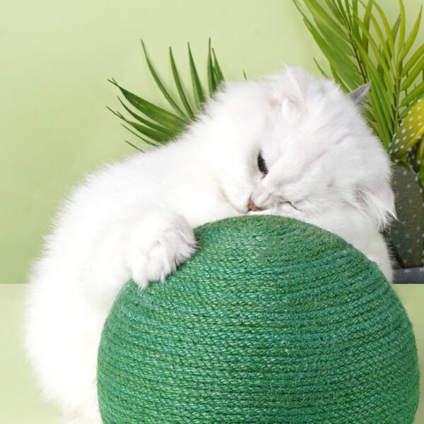 Sisal cactus cat scratching board - Image 2