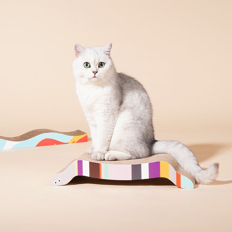 Cat standing on corrugated cardboard